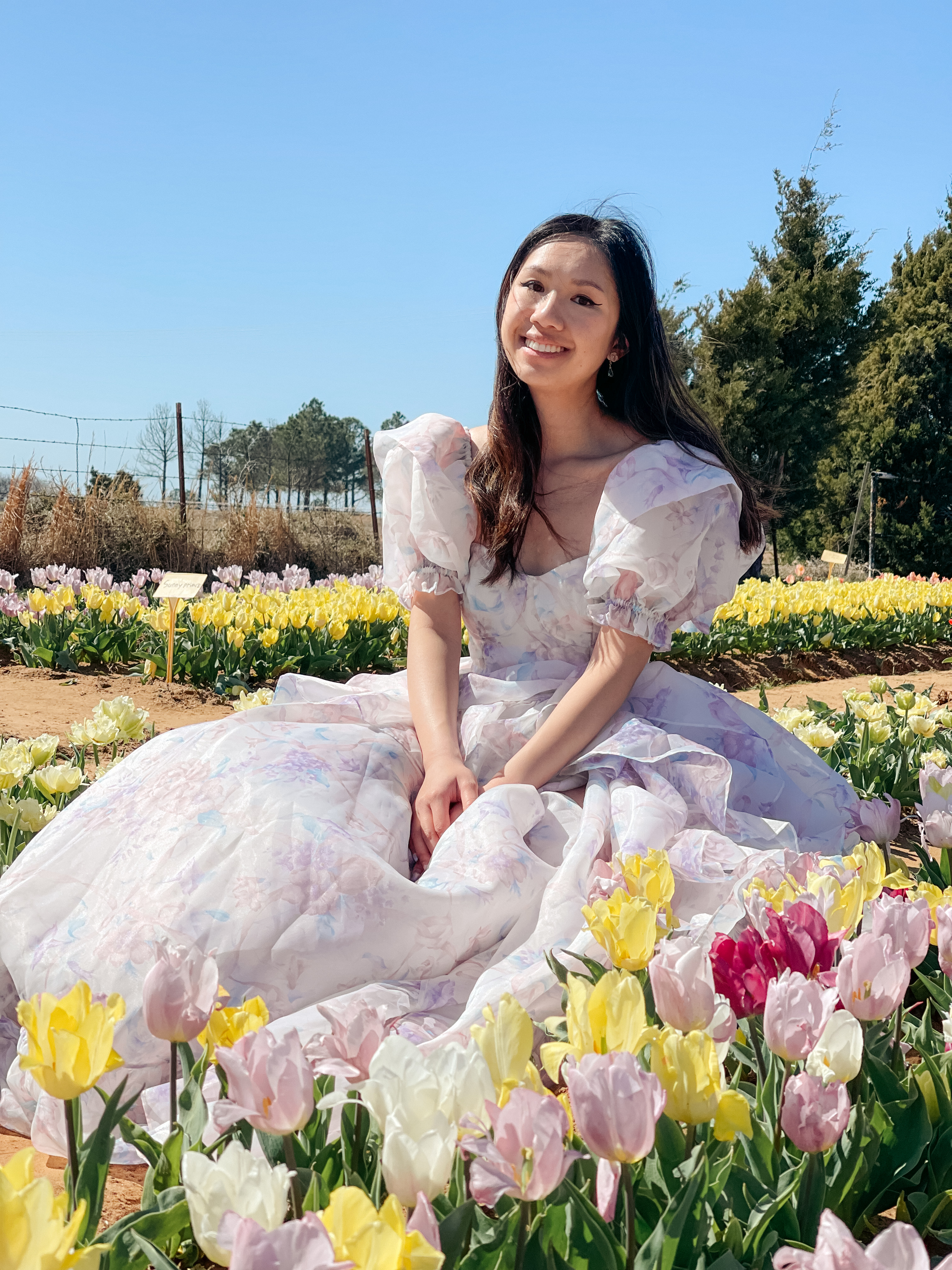 texas tulips pilot point, tulips fields near dallas, dallas fort worth, dallas blooms at dallas arboretum, tulip season, spring flowers, texas tulips, visit dallas, things to do in dallas